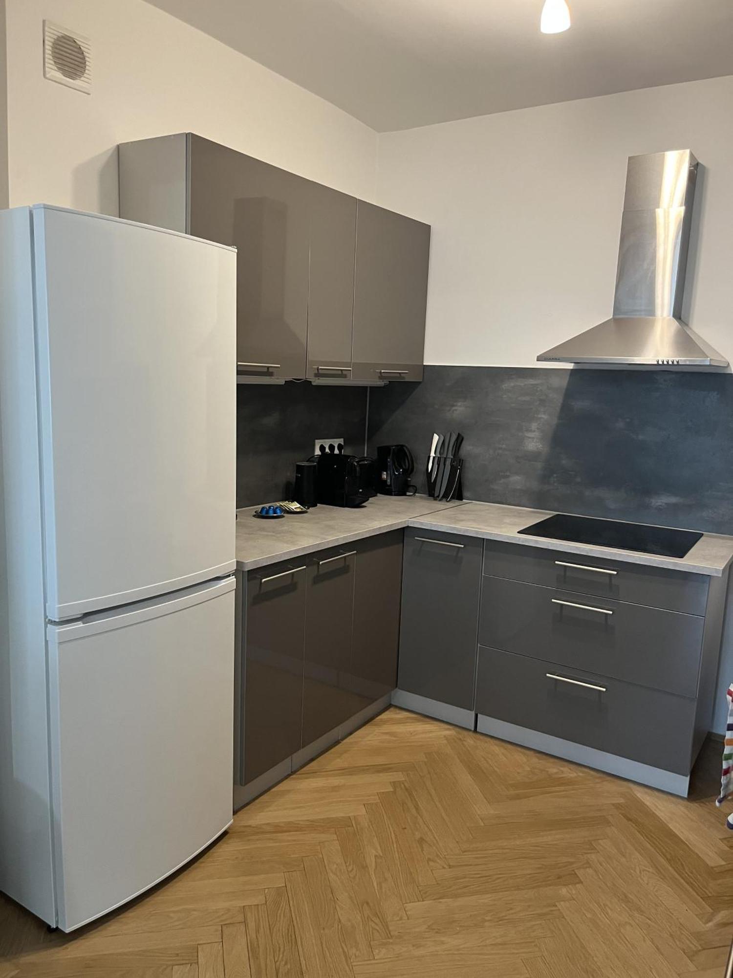 Green Prater Apartament Viena
